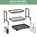 Dish Drainer Rack 2 Tier Rustproof Dish Drainer Rack with Drip Tray and Utensils Holder with 360° Swivel Spout Drain Board Set